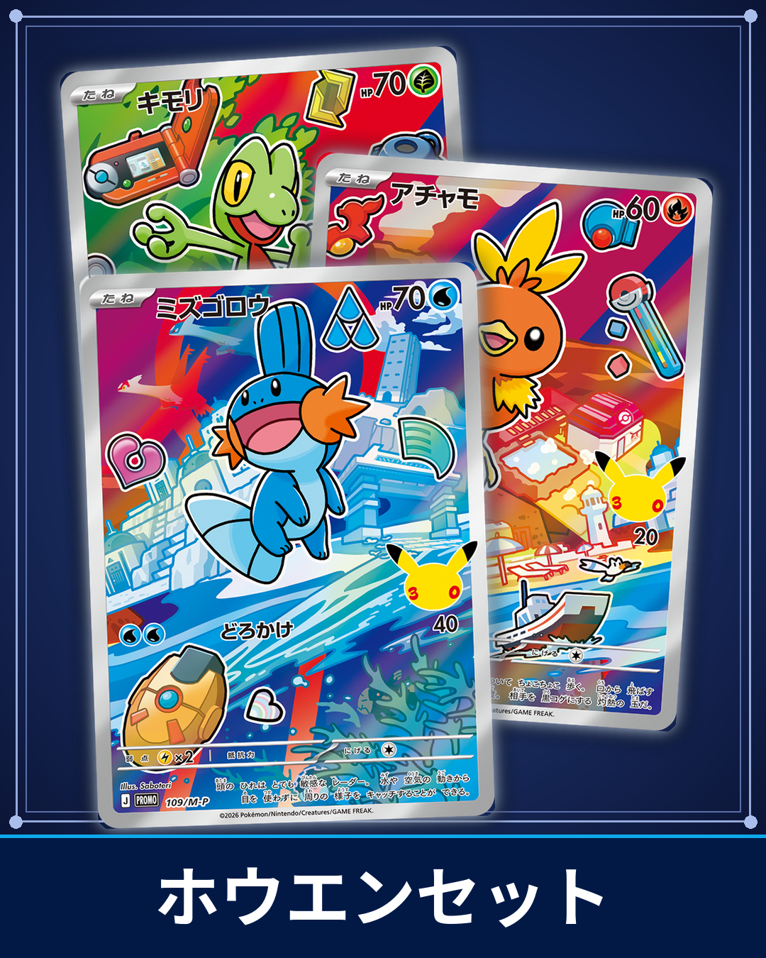 ポケカのセット - カーナベル