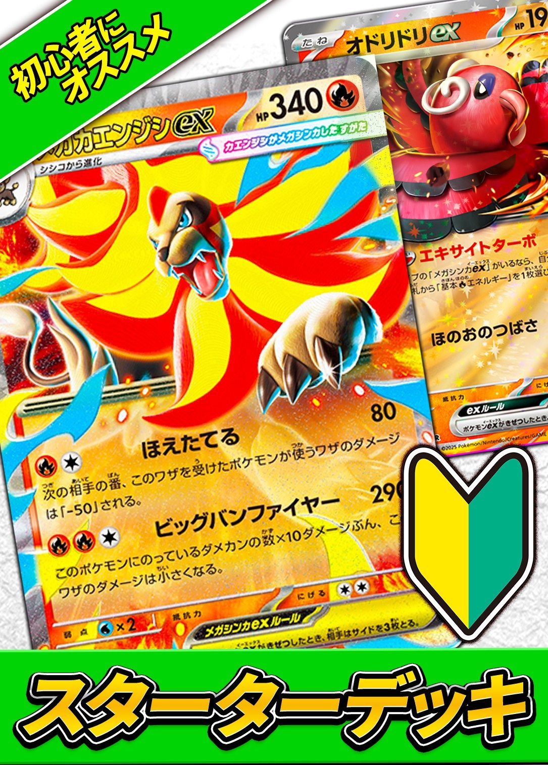 ポケカのデッキ - カーナベル