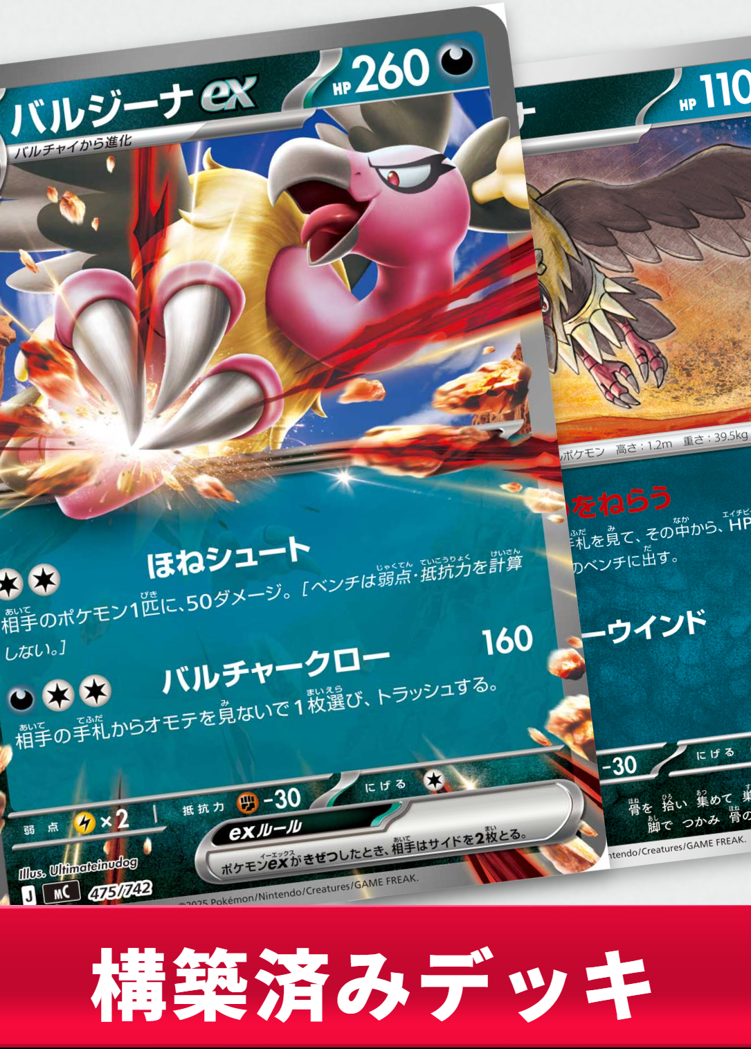 バルジーナexデッキ【デッキ販売】